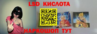 дмт Гудермес