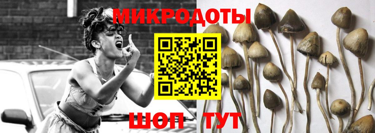 Галлюциногенные грибы GOLDEN TEACHER  Вход с VPN  Карталы 