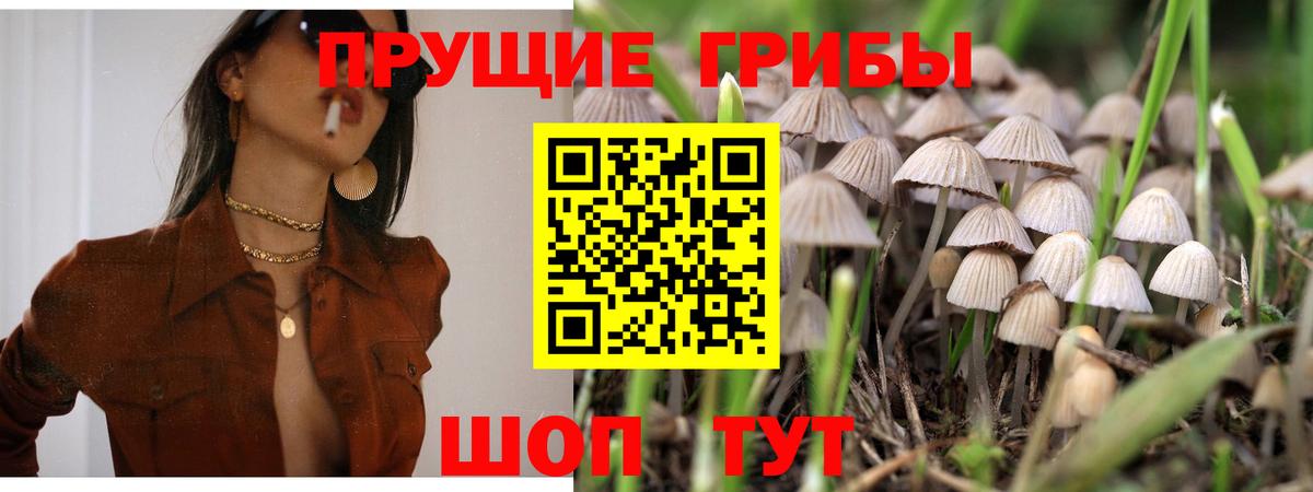 Галлюциногенные грибы прущие грибы Карталы
